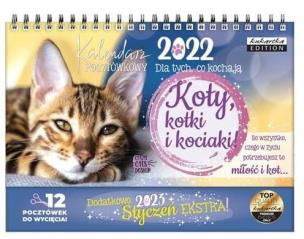 Opakowanie Kalendarz 2022 pocztówkowy Koty