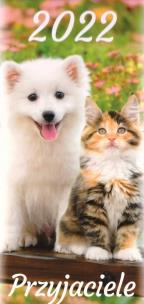 Opakowanie Kalendarz 2022 Pocztówkowy Przyjaciele