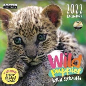 Opakowanie Kalendarz 2022 ścienny Classic Wild puppies