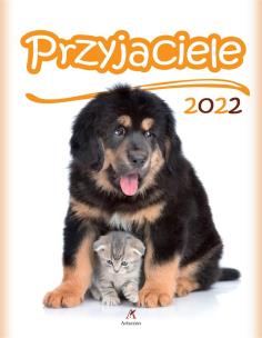 Opakowanie Kalendarz 2022 Ścienny Przyjaciele ARTSEZON