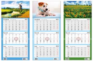 Opakowanie Kalendarz 2022 Trójdzielny LUX. Wypukły MIX