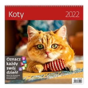 Opakowanie Kalendarz 30 x 30 z naklejkami. Koty 2022