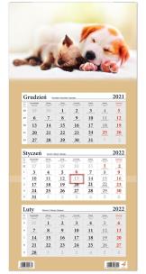 Opakowanie Kalendarz ścienny 2022 trójdzielny Pies i Kot