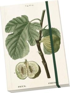 Opakowanie Notatnik ozdobny A5 STNOTE 79 Figa