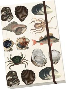 Opakowanie Notatnik ozdobny A5 STNOTE 88 Morze