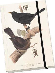 Opakowanie Notatnik ozdobny A5 STNOTE 90 Ptaki