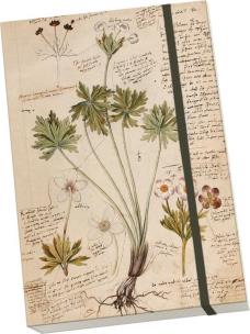 Opakowanie Notatnik ozdobny A5 STNOTE 93 Anno 1550