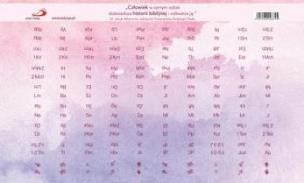 Opakowanie Paginatory - naklejki różowe proste