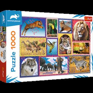 Opakowanie Puzzle 1000 Dzika natura 10673