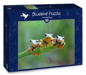 Opakowanie Puzzle 500 Żaby