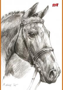 Opakowanie Szkicownik A4 20 kartek PAKIET 10 sztuk