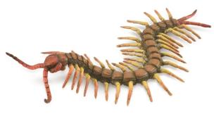 Centipede. Wydawca: Collecta. Multiszop.pl Opakowanie Centipede
