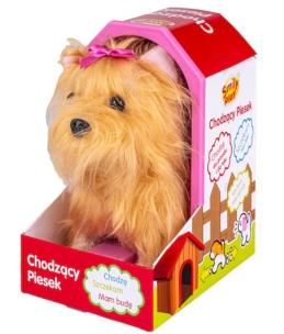 Opakowanie Interaktywny piesek York