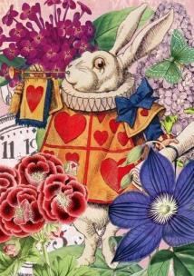 Opakowanie Karnet B6 z kopertą Alicja w krainie czarów