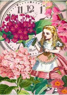 Opakowanie Karnet B6 z kopertą Alicja w krainie czarów