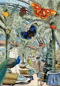 Opakowanie Karnet B6 z kopertą Motyle i palmy