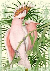 Opakowanie Karnet B6 z kopertą Różowe papugi