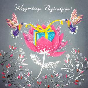 Opakowanie Karnet KW TŁ Prezent kolibry