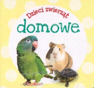 Okładka książki Pakiet: wiem wszystko