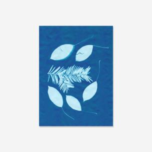 Opakowanie Papier słoneczny (cyjanotypia)  20 arkuszy 14 x 19cm