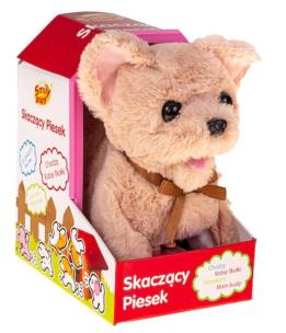 Opakowanie Piesek Chihuahua robi fikołki