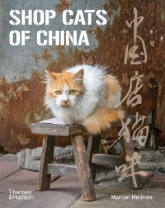 Opakowanie Shop Cats of China