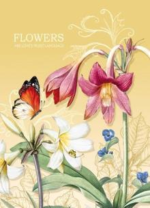 Opakowanie Notatnik ozdobny 145x197/64K kratka TW Motyl