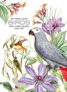 Opakowanie Notatnik ozdobny 145x197/64K kratka TW Papugi