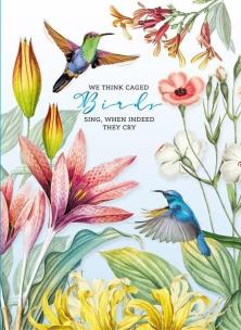 Opakowanie Notatnik ozdobny 165x238/80K kratka Kolibry