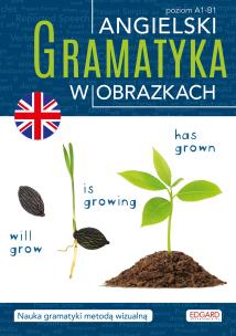 Okładka książki Angielski. Gramatyka w obrazkach