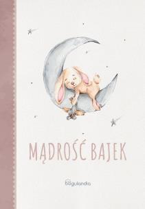 Okładka książki Bajki Mądre grosza godne