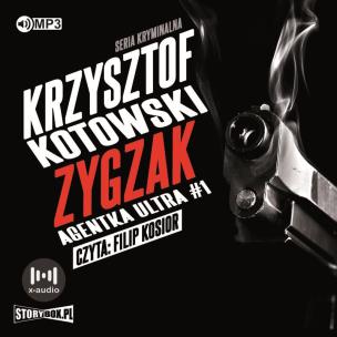 Okładka książki CD MP3 Zygzak