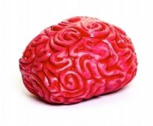 Opakowanie Gniotek Ogromny Mózg