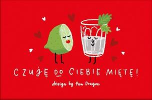 Opakowanie Magnes Miko-182