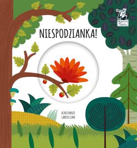 Okładka książki Niespodzianka Magiczne koło Kapitan Nauka