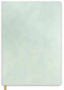 Opakowanie Notes A5/192K linia Mint