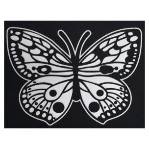 Opakowanie Aksamitna kolorowanka motyl