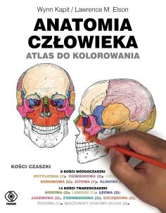 Okładka książki Anatomia człowieka. Atlas do kolorowania