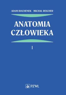 Okładka książki Anatomia człowieka Tom 1