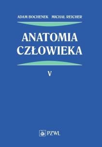 Anatomia człowieka Tom 5. Autor: Bochenek Adam, Reicher Michał. Multiszop.pl Okładka książki Anatomia człowieka Tom 5