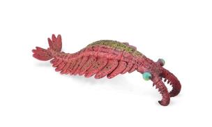 Opakowanie Anomalocaris