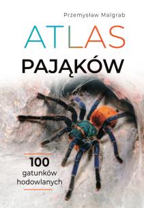 Atlas pająków. Autor: Przemysław Malgrab. Multiszop.pl Okładka książki Atlas pająków