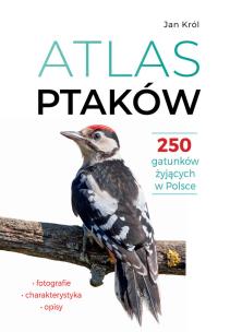Okładka książki Atlas ptaków. 250 gatunków żyjących w Polsce