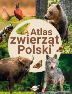 Atlas zwierząt Polski. Autor: Opracowanie zbiorowe. Multiszop.pl Okładka książki Atlas zwierząt Polski