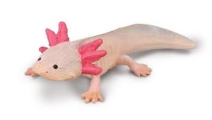 Axolotl. Wydawca: Collecta. Multiszop.pl Opakowanie Axolotl