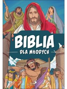 Biblia dla młodych. Autor: Andrew Newton. Multiszop.pl Okładka książki Biblia dla młodych