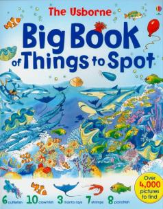 Opakowanie BIG BOOK OF THINGS TO SPOT
