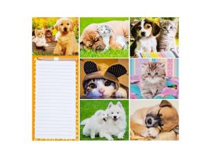 Opakowanie Blok magnetyczny zwierzęta MIX