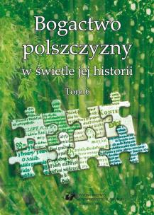 Okładka książki Bogactwo polszczyzny w świetle jej historii T. 6