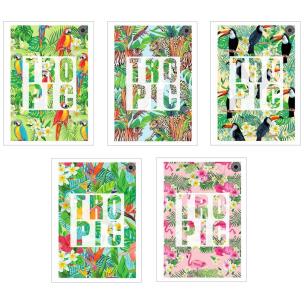 Opakowanie Brulion A5/96K kratka Tropic (5szt)